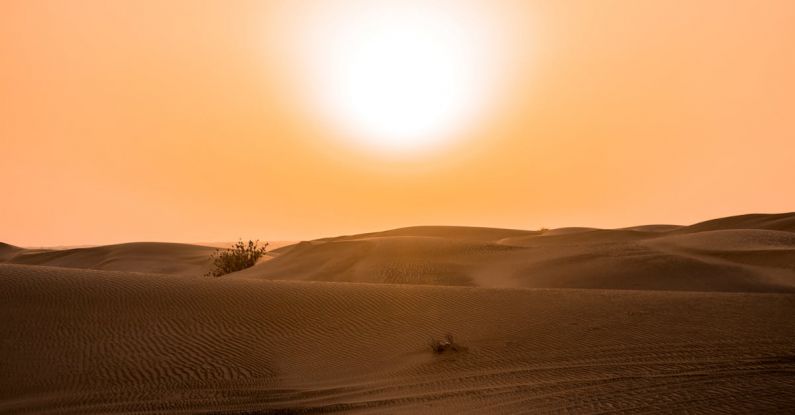 Outback Adventure - Desert Under Yellow Sunset