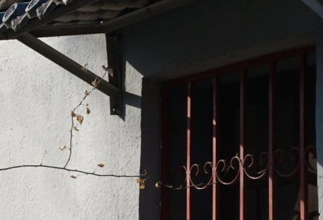 Rooftop Bars - Bars in Window